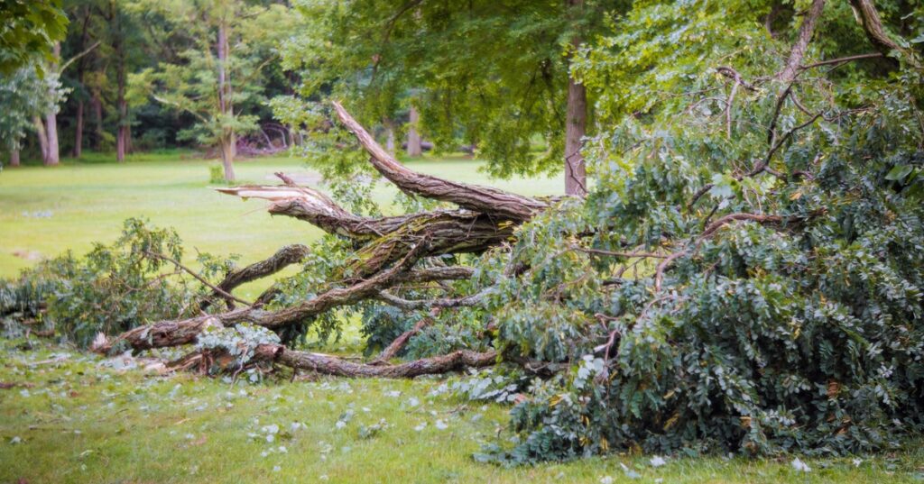 2,9 Millionene Euro f&uuml;r mehr Sicherheit vor Naturgefahren in Arriach